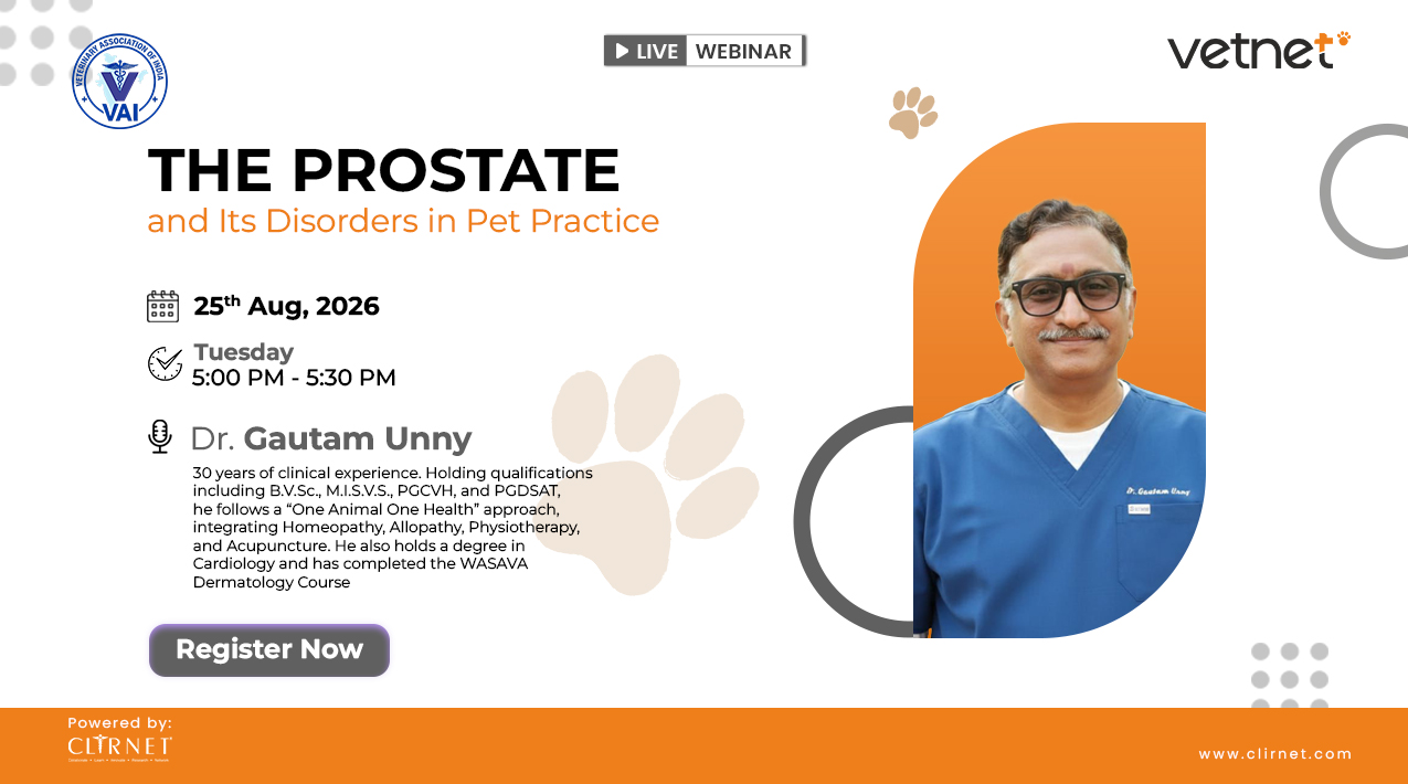 The Prostate and Its Disorders in Pet Practice